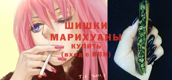 стаф Гусев