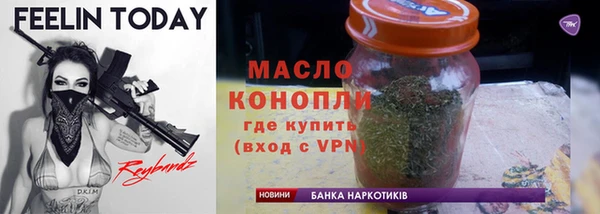 ECSTASY Гусь-Хрустальный