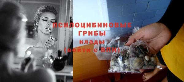 стаф Гусев