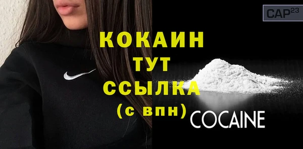 стаф Гусев