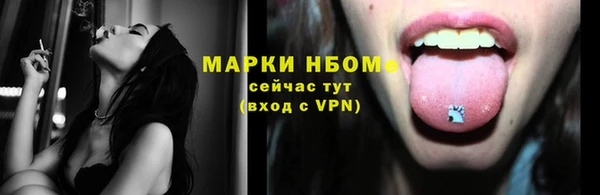 стаф Гусев
