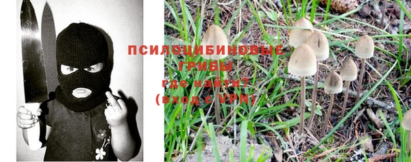 каннабис Гусиноозёрск