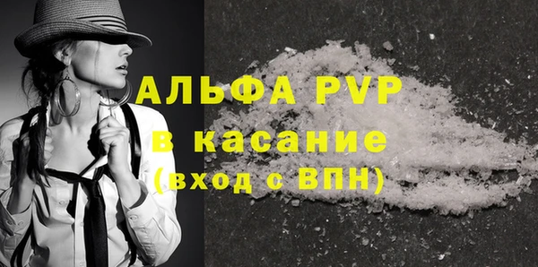 стаф Гусев