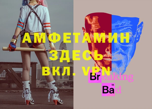 ECSTASY Гусь-Хрустальный