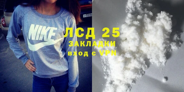 стаф Гусев