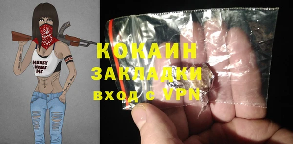 стаф Гусев
