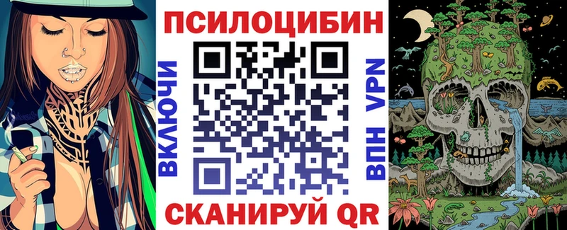 blacksprut рабочий сайт  Перевоз  Псилоцибиновые грибы Psilocybine cubensis 